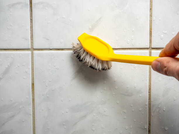 Best Mold Cleaning Services  in Blairsville, PA